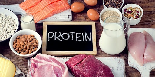 نقش پروتئین در بدن